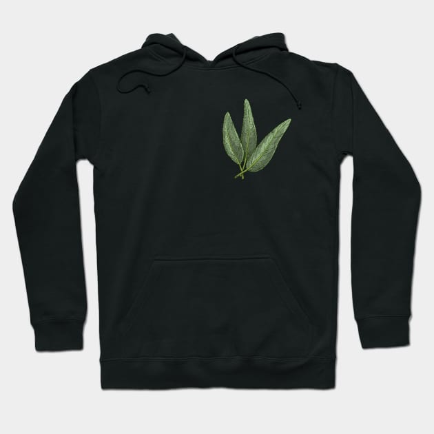 Sage Kitchen Herbs | Aromatic herbs Hoodie by gronly